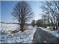 Pelham Road in the snow in Claxby