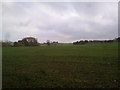 Field view in DH7 9TL