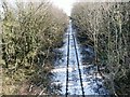 Disused railway near Hollinhill Grips in S80 4LE
