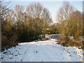 Track to frozen pond near Hintlesham in IP8 3NR