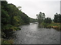 River Tweed, Eshiels in EH45 8LY