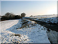 Country lane to Chattisham in IP8 3NR