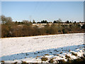 Snowy pastures east of Hintlesham in IP8 3NR