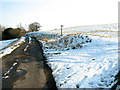 Snowy fields east of Hintlesham in IP8 3NR