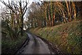 Mid Devon : Country Road in EX18 7JY