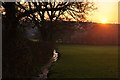 Mid Devon : Small Stream & Sunset in EX18 7JY