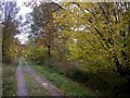 Rowney wood main ride. in Debden & Wimbish Ward
