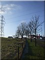 Power transmission line, ice-tipped branches, and filling station, Brynmawr in Beaufort Community