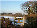 Gate to a snowy field in TN33 9HJ