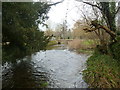 Witchampton, River Allen in BH21 5AR