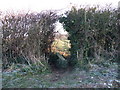 Footpath Through A Hole In The Hedge in BH21 4HU