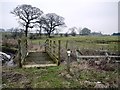 Footbridge over Sparrow Letch south-west of Coldside in North East English Region