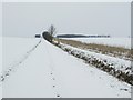 Snow Covered Footpath in CO10 8TD