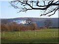 Okeford Fitzpaine: chalk quarry view from Shillingstone Lane in DT11 0RB