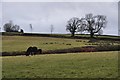 Mid Devon : Grassy Field in TA21 0HG