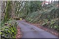 Mid Devon : Country Road in TA21 0HG