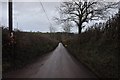 Taunton Deane : Country Road in TA21 0HG