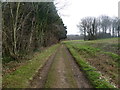 Moor Crichel, footpath in BH21 5DR