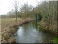 Moor Crichel, River Allen in BH21 7HH