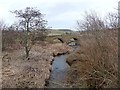 Elsdon Burn and Elsdon Bridge in NE19 1BJ