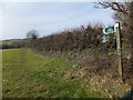 Public footpath off Shepherds Lane in TQ14 9PB