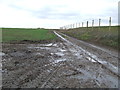 Very Muddy Farmers Track in IP33 3RB