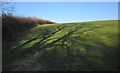 Path across the shadows near Bradaford in EX21 5DX