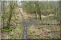 Path in High Barber's Wood in HP12 4NG