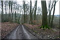 Track in Great Wood in HP14 3BE