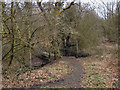 Footpath Through Cunningham Clough in BL5 2RZ
