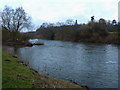 The River Severn between Colemore Green & Apley Park in WV16 4SN