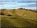 The National Trust open space at Walton Hill, Polden Hills, Somerset in BA16 9RE