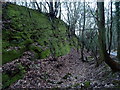 Exposed rock beside the old railway in WV16 4ST