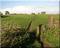 Footpath from Chapel Hill to Overton village, Overton, Sitlington CP in WF4 4RN