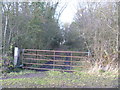 Track into the woodland in CV37 8NJ