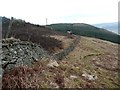 Dry stone wall at the top of the pasture in PH15 2LE