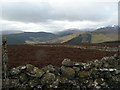 Looking across heather and dry stone walls in PH15 2LE