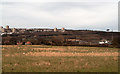 Field near Lamesley in NE11 0EY