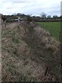 A ditch at Dornafield in TQ12 6DE