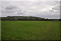 East Devon : Grassy Field in EX13 7NJ