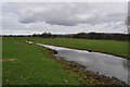 East Devon : Grassy Field & Puddle in EX13 7PB