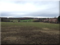 Grazing land, Thorpe Common in S61 2SF