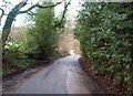 Narrow Lane near Lydiate Farm in SK22 4QG