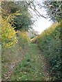 Footpath from Deanland to Upwood in SP5 5PG