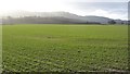 Arable land, Grant in PH2 9FT