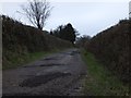 Mucky Lane to Woodtown (farm) in EX19 8QU