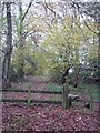 Stile at north end of Stonedown Wood in SP5 5LR