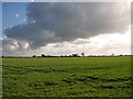 Dark clouds above cultivated fields, Ludham in NR29 5LZ
