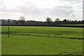 Mid Devon : Grassy Field in EX16 7ES