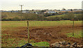 2012 : Muddy field west of Church Lane in BS36 1SG